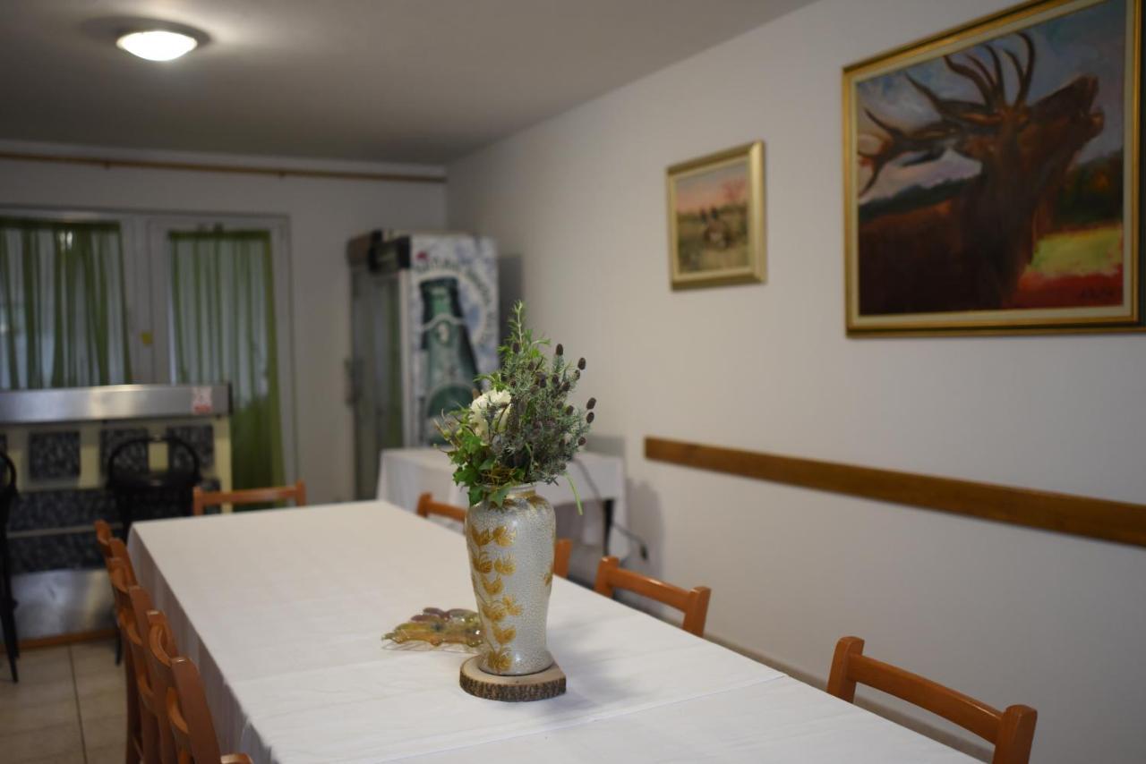 Hôtel Prenociste Dzinic à Zupanja Extérieur photo