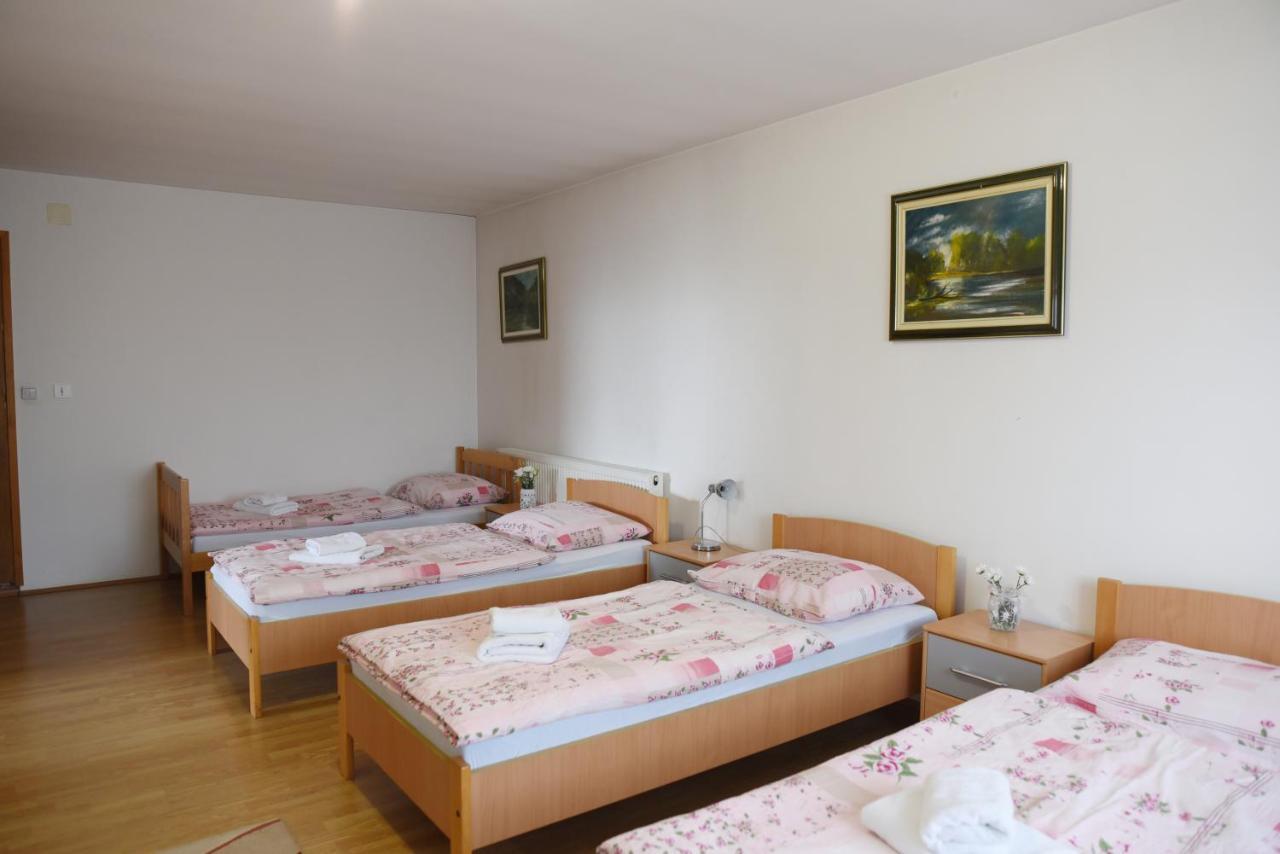 Hôtel Prenociste Dzinic à Zupanja Extérieur photo
